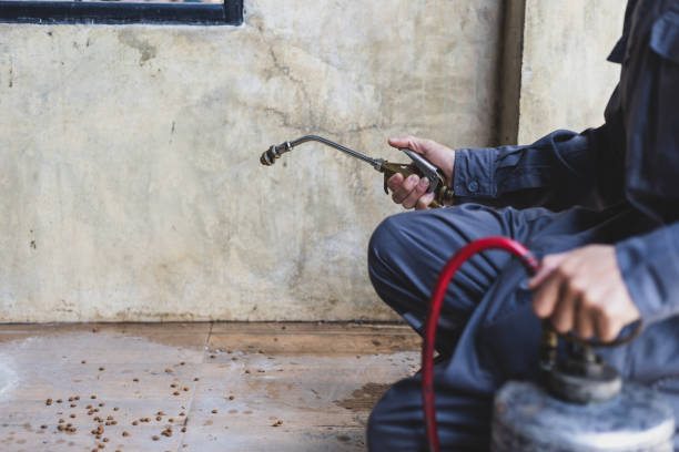 Best Pest Inspection Near Me  in Greenville, AL